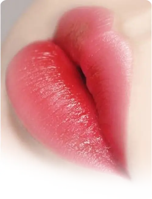 Phun môi Evolution Line